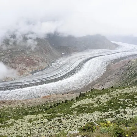 Talisman Auf Der * רידראלפ